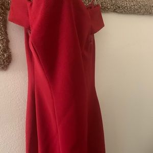 A Adrianna papell dress